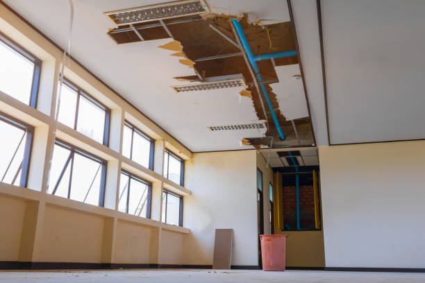 Water damage restoration experts in Waterloo, NE