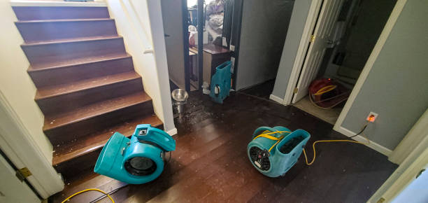 Best Water damage restoration near me  in Waterloo, NE