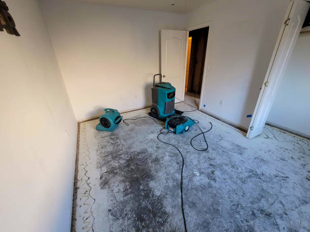 Best Professional water damage repair  in Waterloo, NE