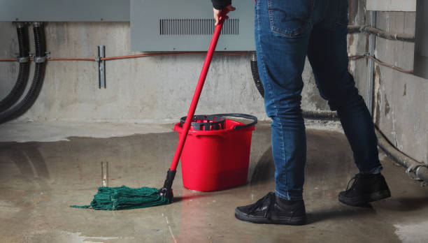 Best Ceiling water damage repair  in Waterloo, NE