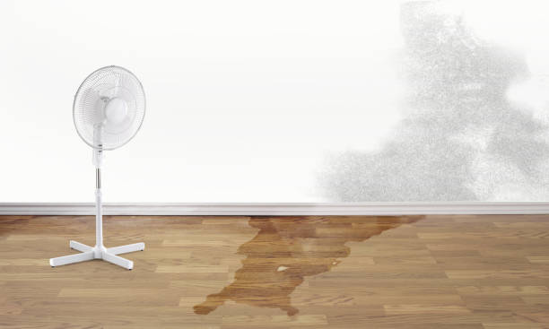 Best Emergency water damage restoration  in Waterloo, NE