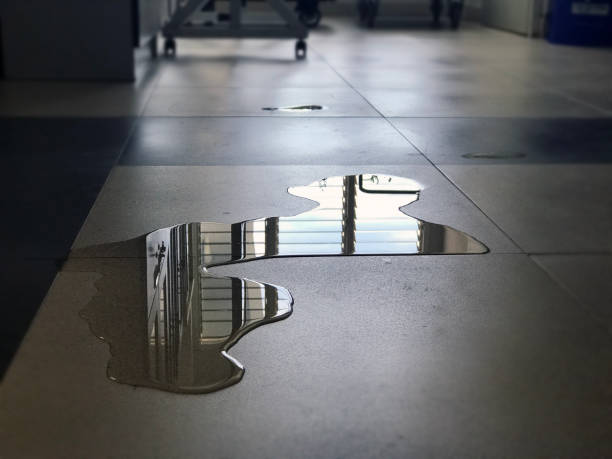 Best Water damage restoration experts  in Waterloo, NE