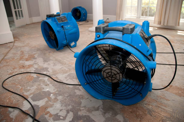 Professional Water damage restoration in Waterloo, NE