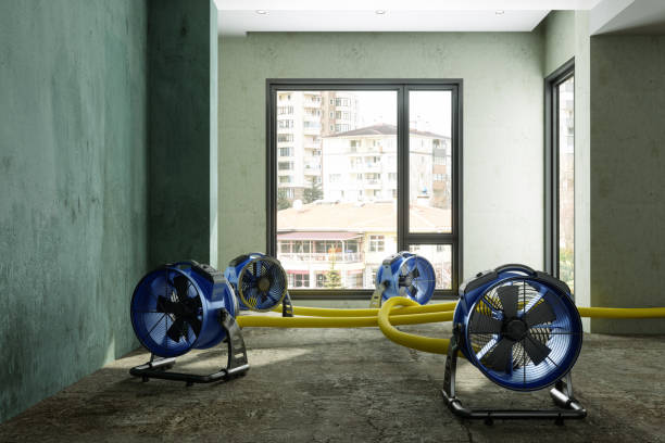 Best 24/7 water damage repair  in Waterloo, NE
