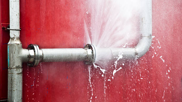 Best Basement water damage restoration  in Waterloo, NE