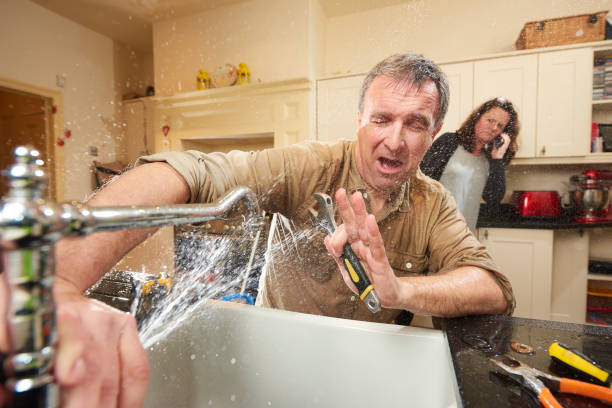 Best Flooded house restoration  in Waterloo, NE